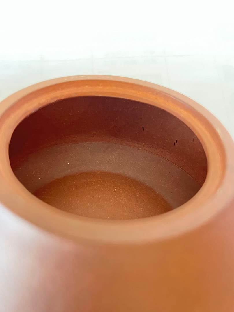 唐物 中国宜興 朱泥 急須 紫砂 茶壷