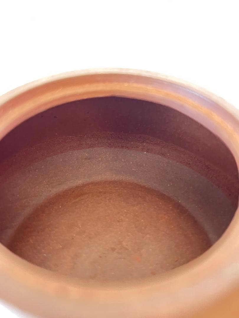 唐物 中国宜興 朱泥 急須 紫砂 茶壷