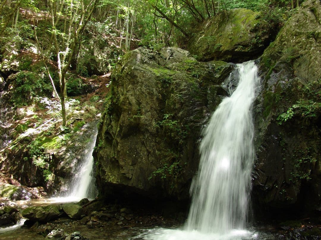 デジタルカメラ Sony Cyber-shot DSC-F828