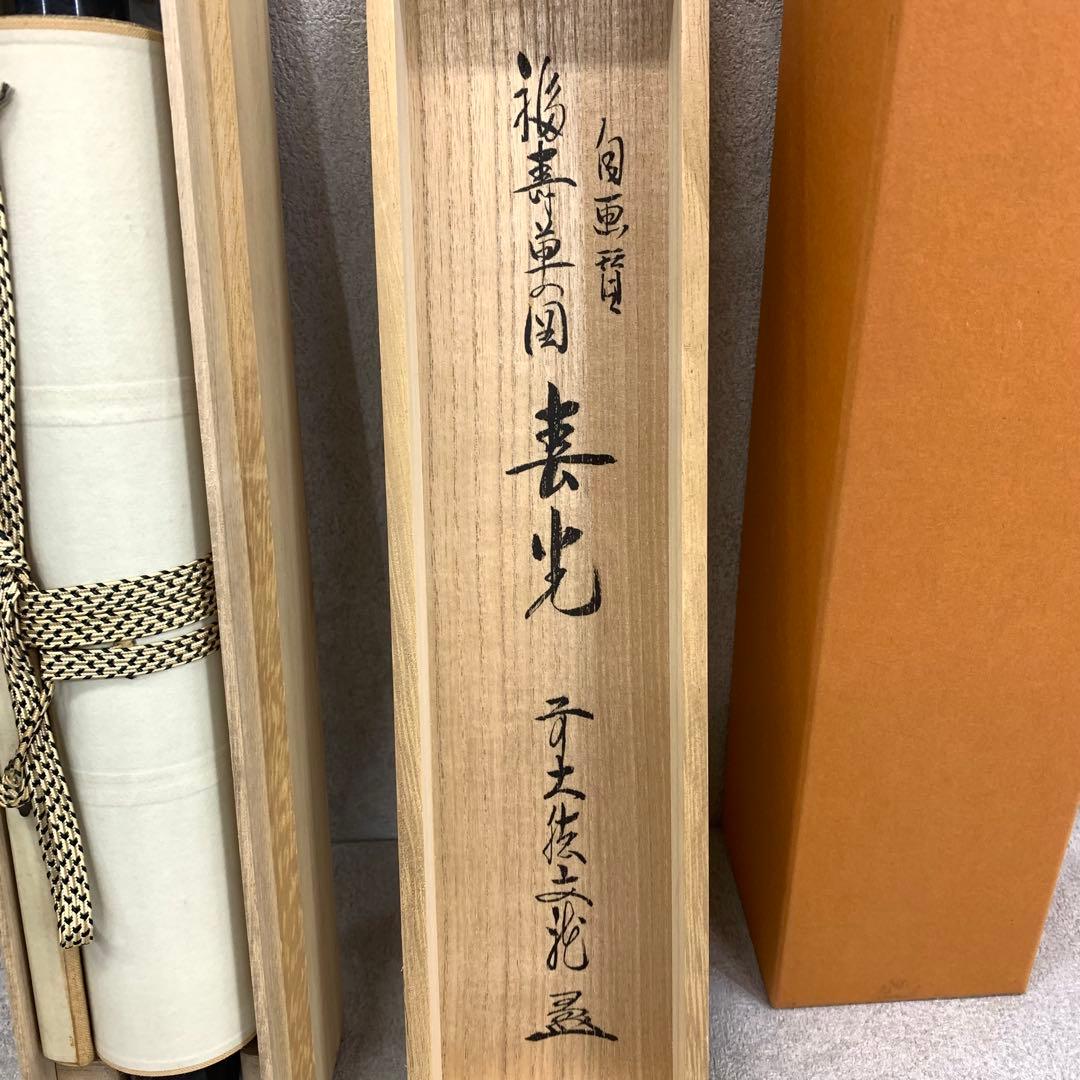 掛軸 法谷文雅 春光 福寿草 共箱 逢春寺 画賛 茶掛 茶道具 3-78