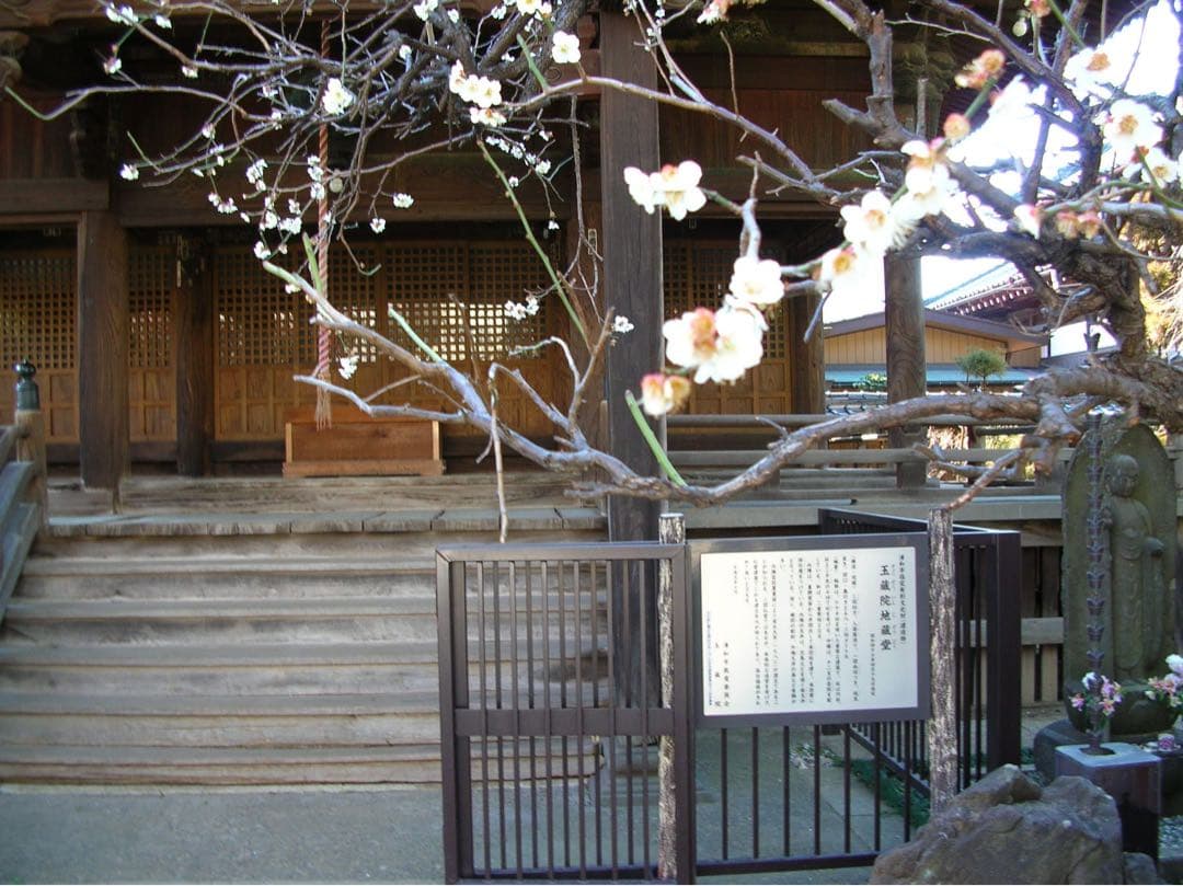 Nikon COOLPIX 4100 デジタルカメラ