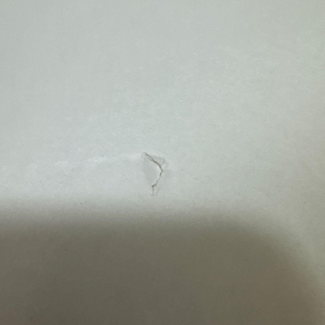 ディズニー ミッキーのマジカルミュージックワールド アートパネル オープニング