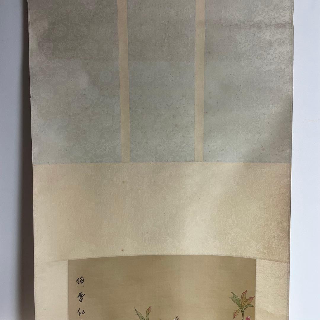 中国画 中国 掛軸 花鳥 蝶 朝顔 まとめ