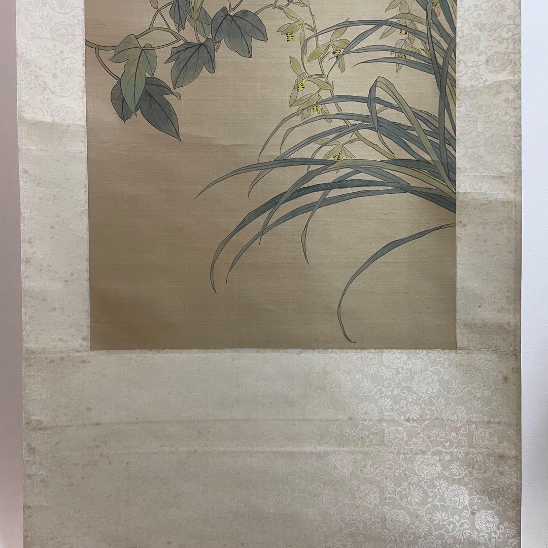 中国画 中国 掛軸 花鳥 蝶 朝顔 まとめ