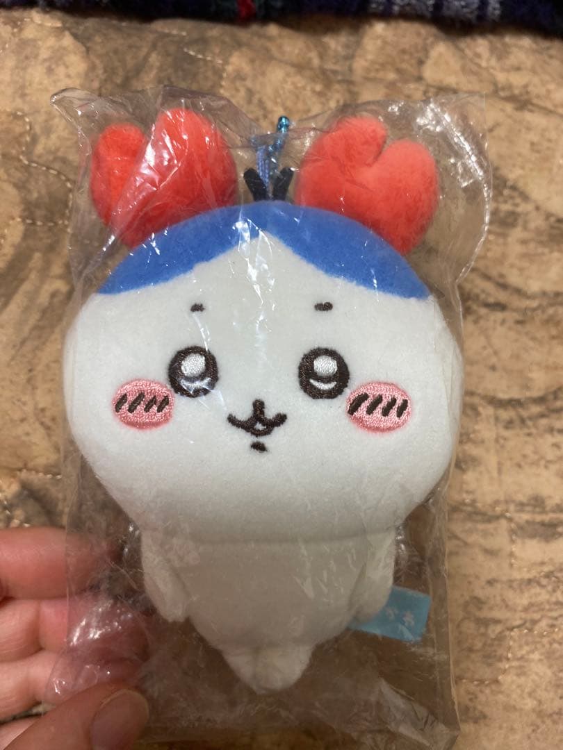 ハチワレ　カニちゃん　古本屋　マスコット