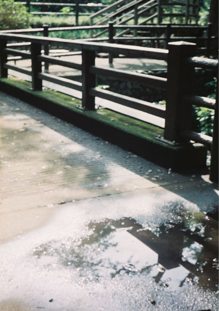 【試写あり＊動作確認・清掃済み】OLYMPUS PEN D