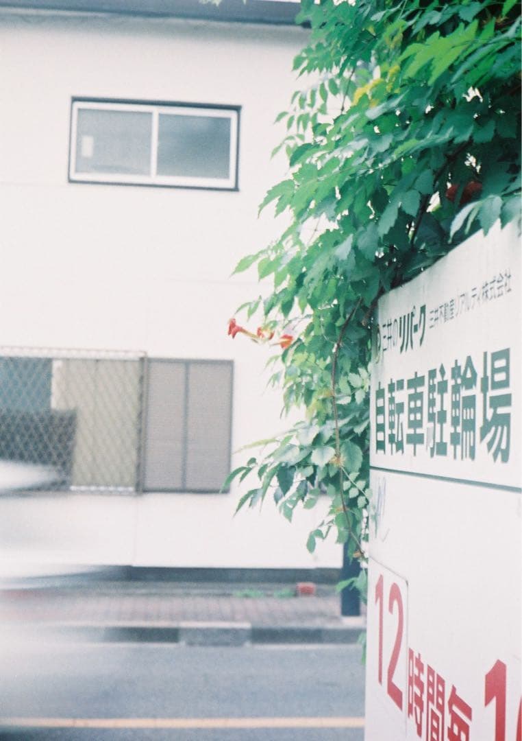 【試写あり＊動作確認・清掃済み】OLYMPUS PEN D