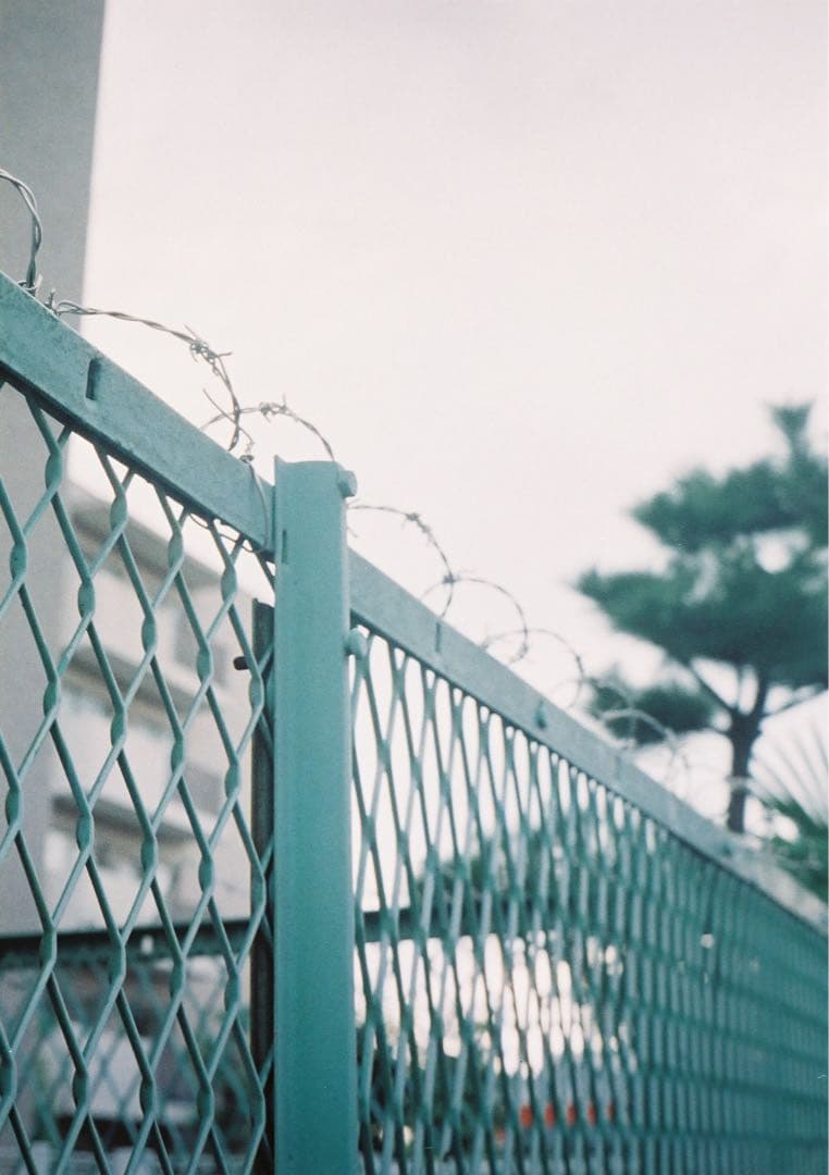 【試写あり＊動作確認・清掃済み】OLYMPUS PEN D