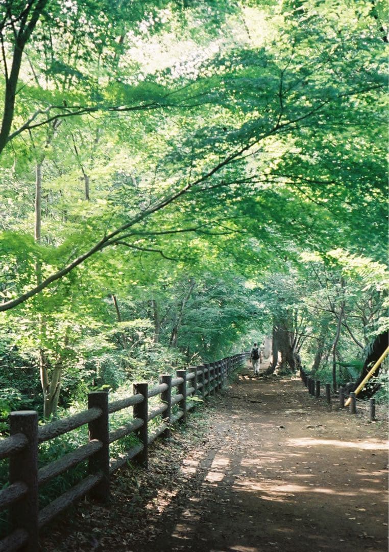 【試写あり＊動作確認・清掃済み】OLYMPUS PEN D