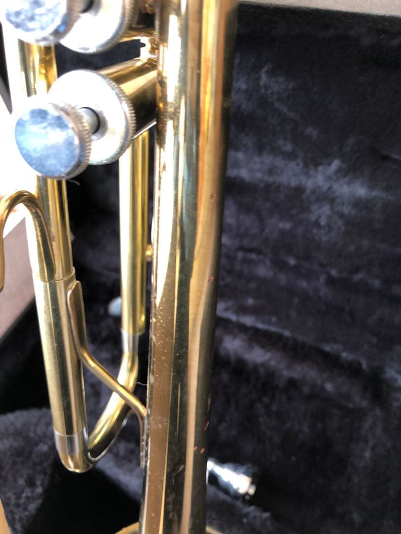 トランペット (D13)