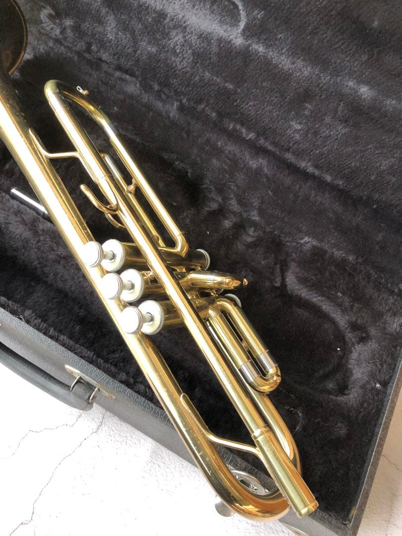 トランペット (D13)