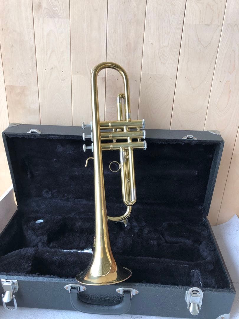 トランペット (D13)
