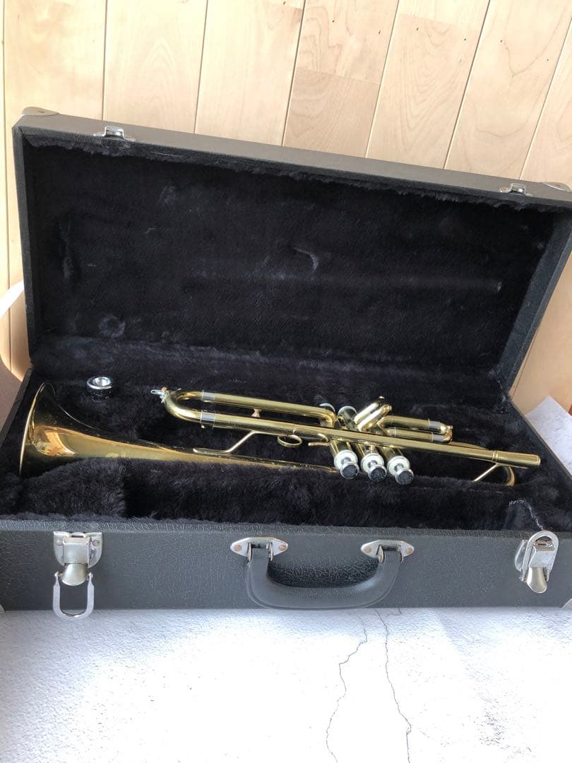トランペット (D13)