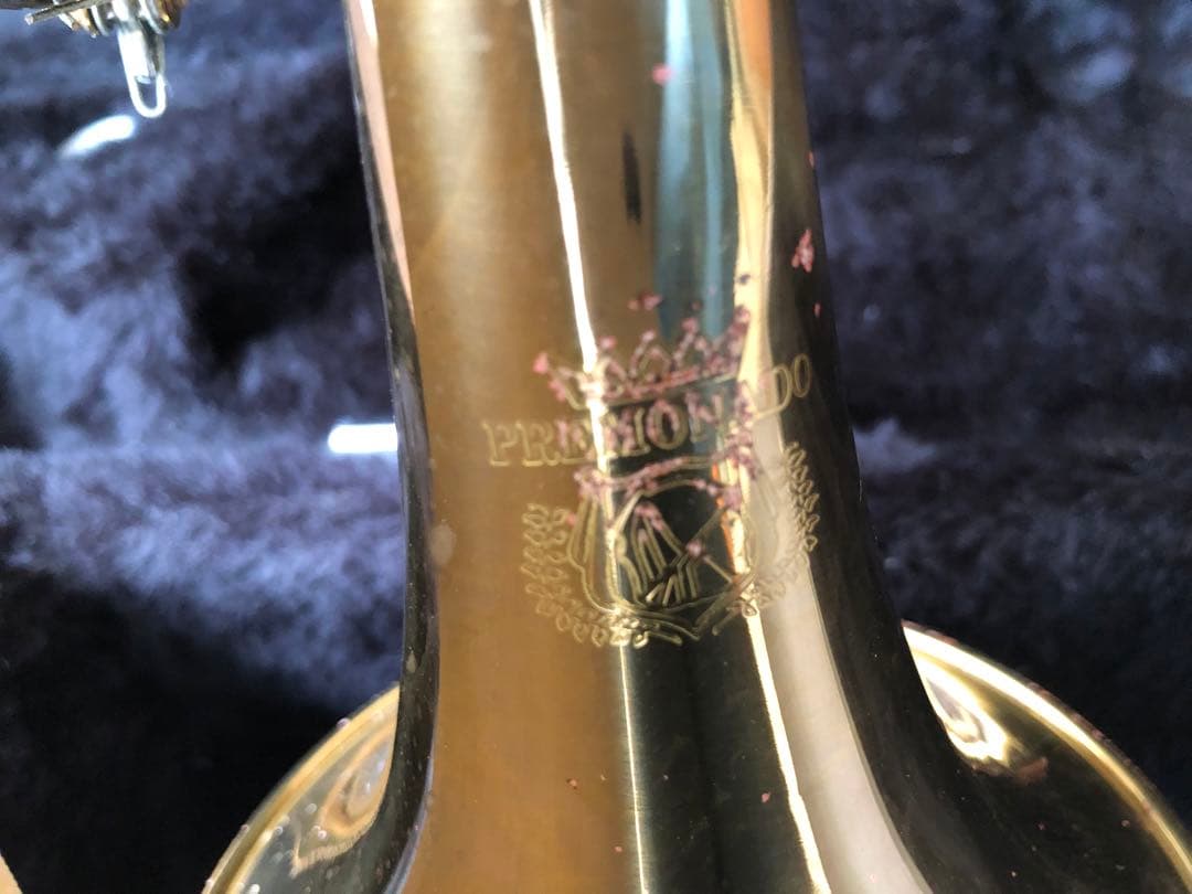 トランペット (D13)