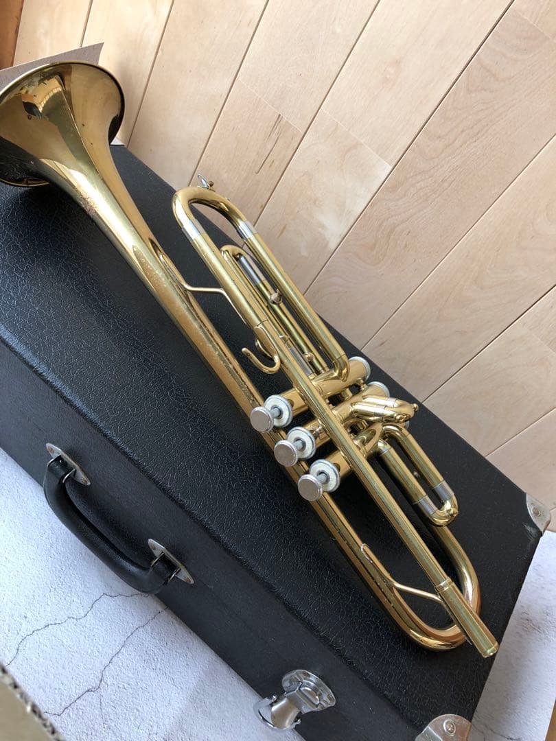 トランペット (D13)