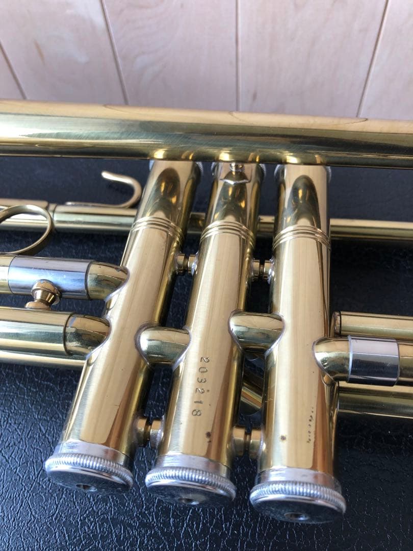 トランペット (D13)