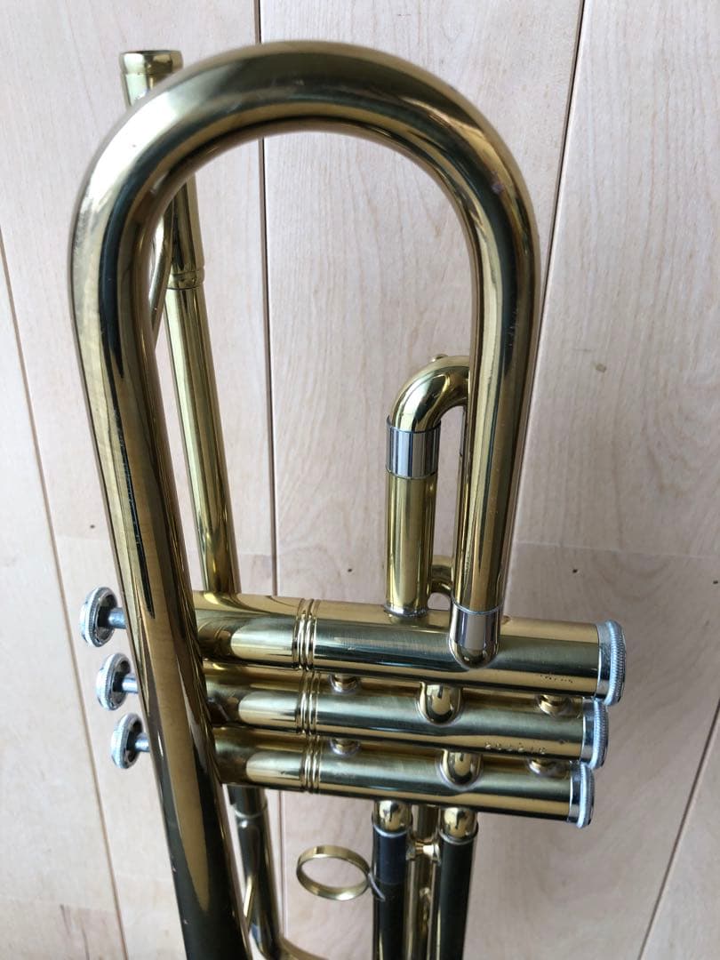 トランペット (D13)