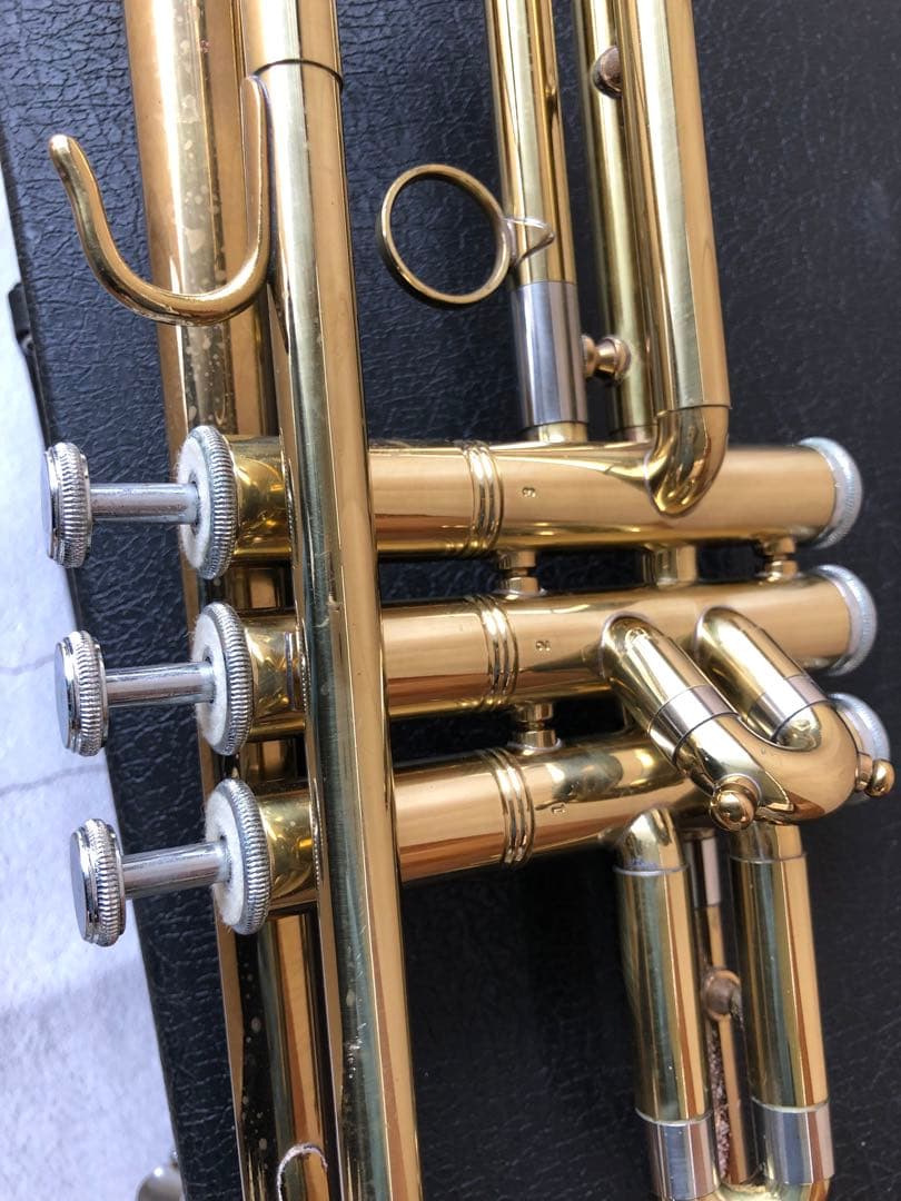 トランペット (D13)