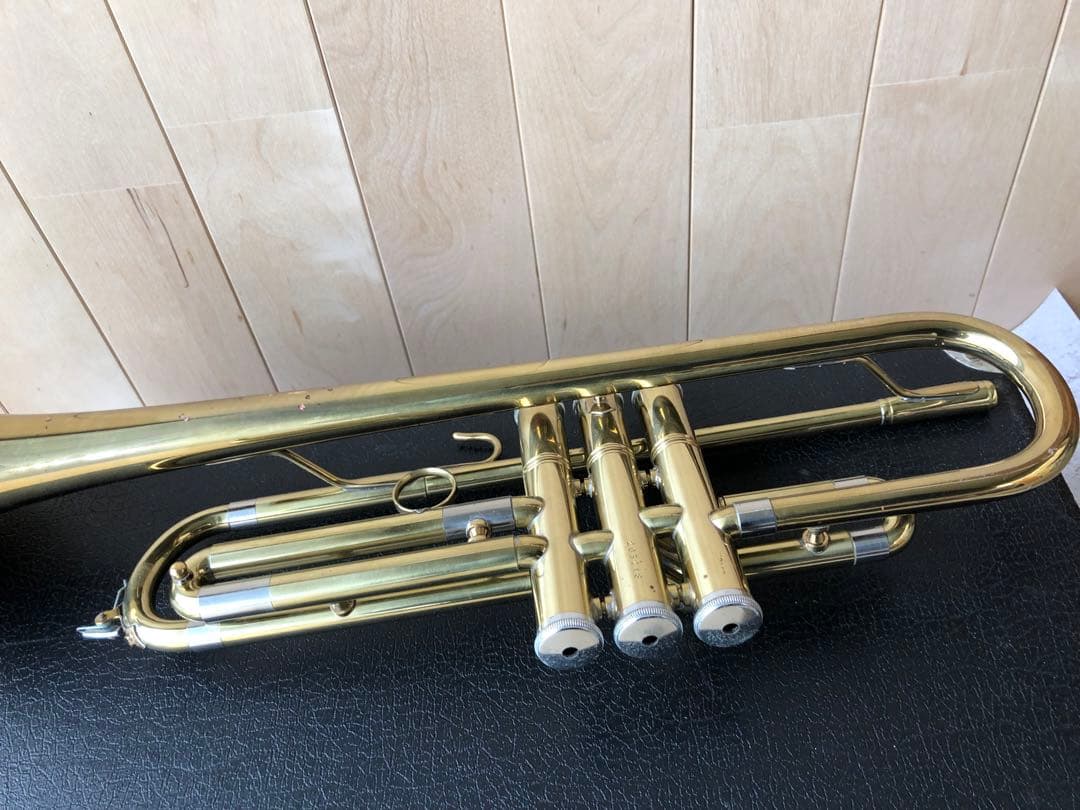 トランペット (D13)