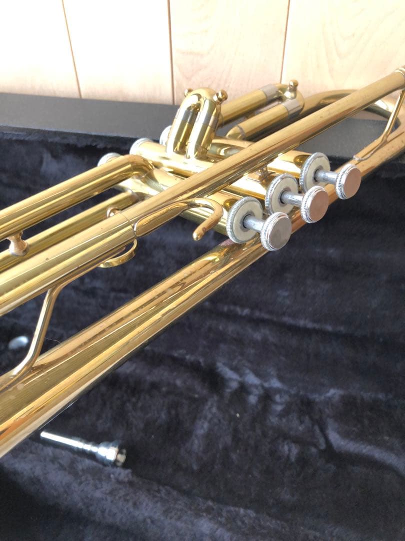 トランペット (D13)