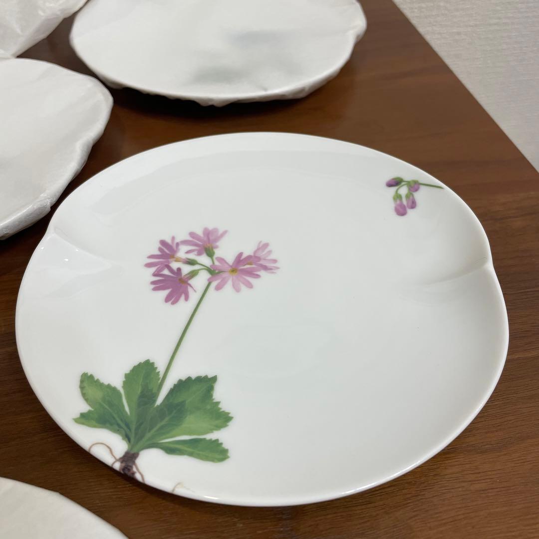 新品☆美濃焼　深山　谷川岳植物図鑑之器　5枚セット　植物柄　皿　箱入り