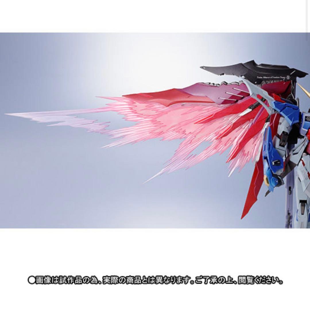 未使用級✨メタルビルド デスティニーガンダム フルパッケージ 光の翼オプション