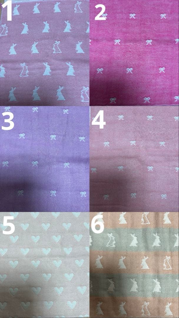 可愛い女の子　猫ちゃん　わんちゃん❣️