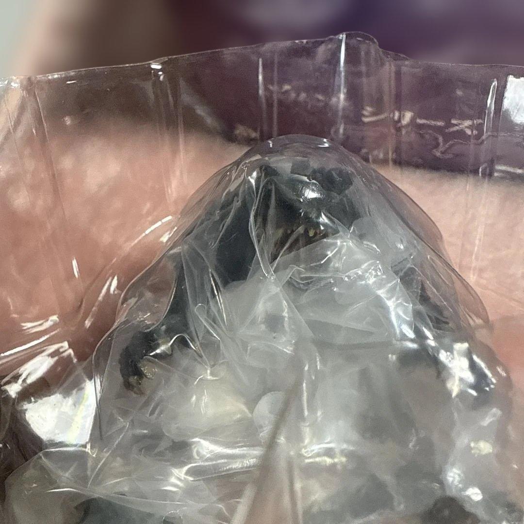 アートスピリッツ 激造 平成ガメラ編 ガメラ3 トラウマガメラ シークレット