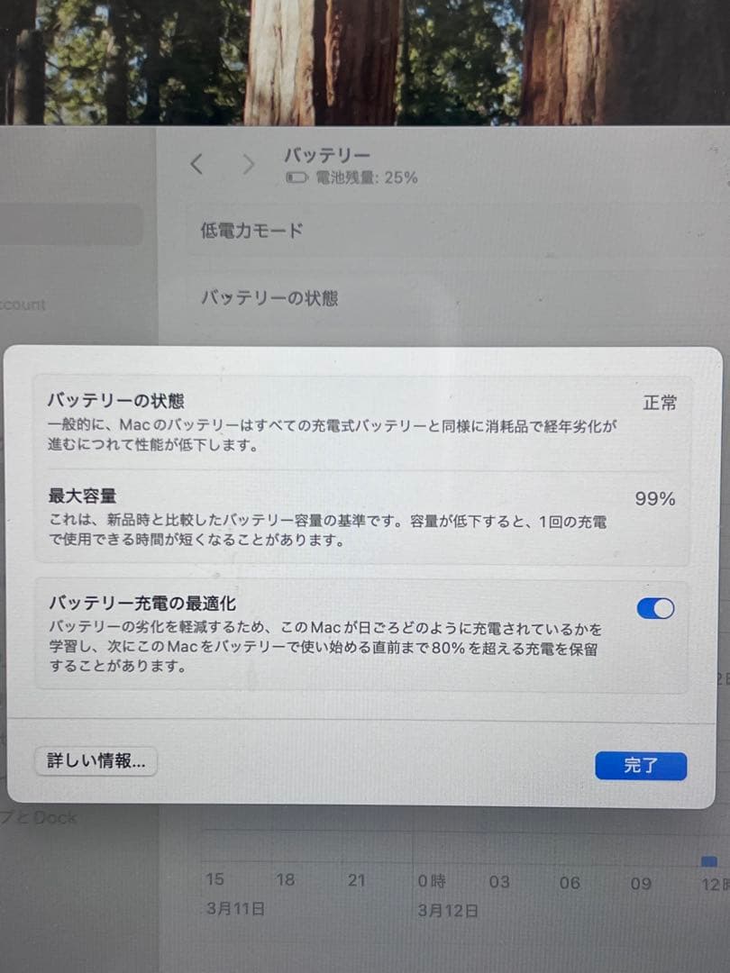 MacBook 13インチ シルバー 本体