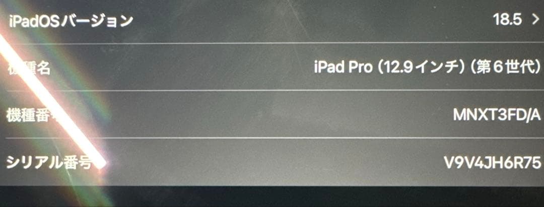 Apple iPad pro 12.9インチ 第6世代 256GB タブレット