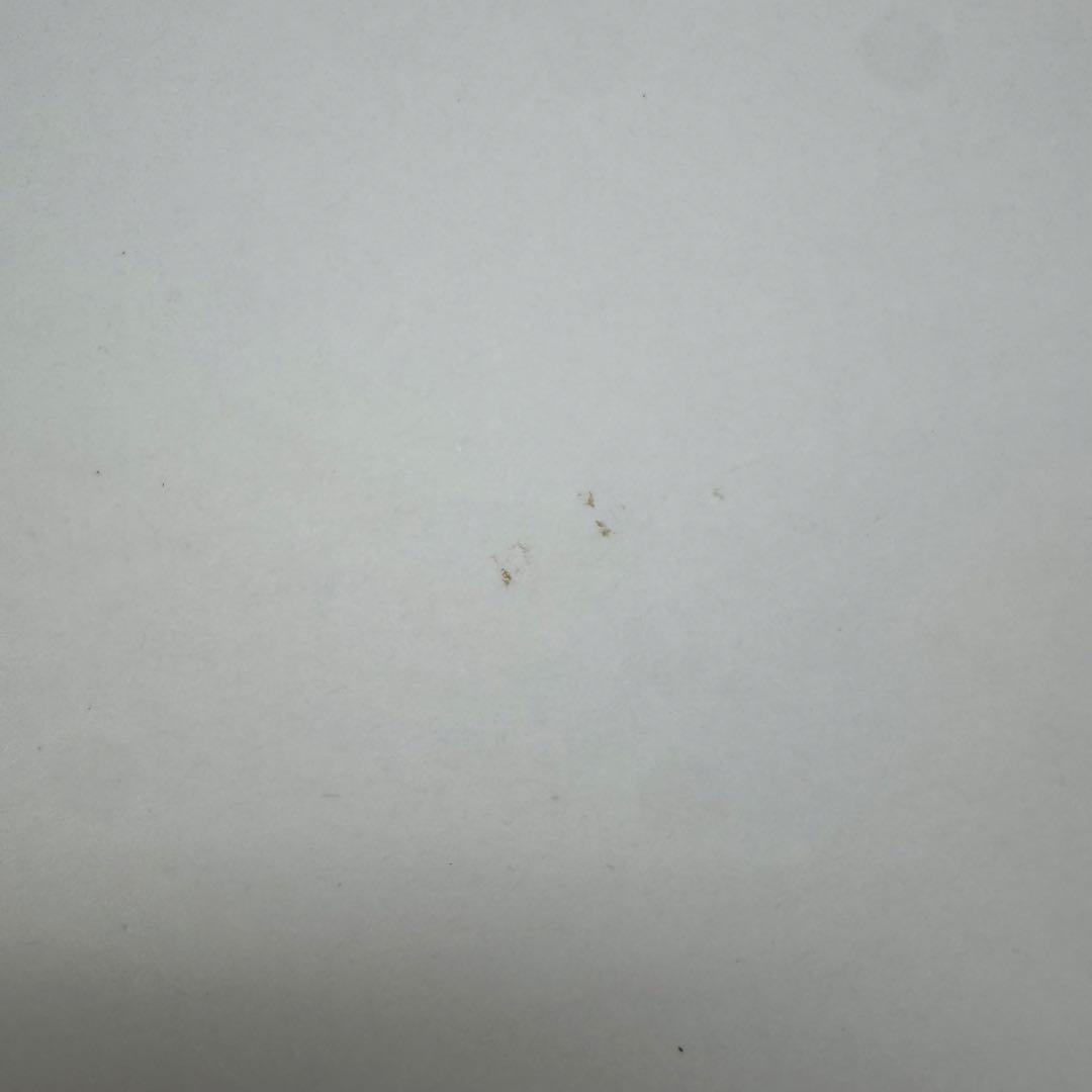 未使用　Ulefone Tab A10 Pro アンドロイド14 タブレット