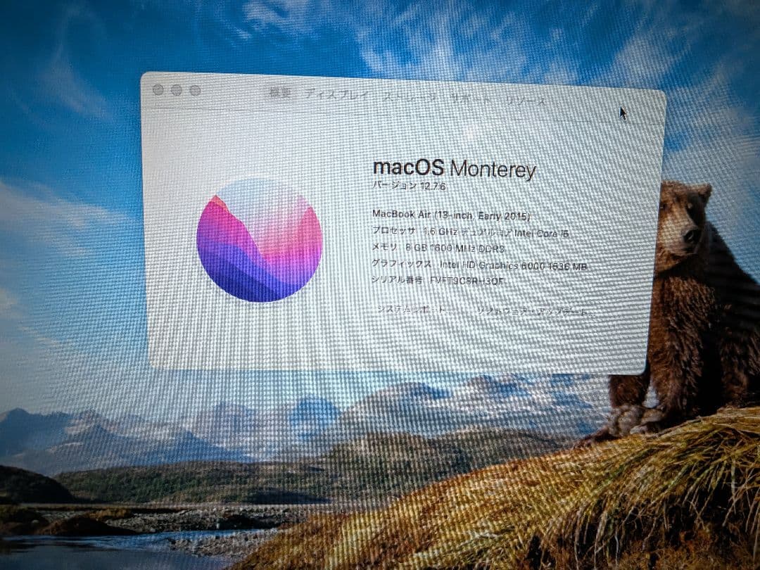 Apple MacBook Air 13インチ（Early 2015）
