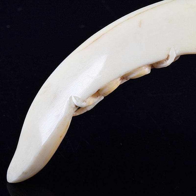 時代提げ物　獣骨　根付　石見根付　蟹文根付　M　8659