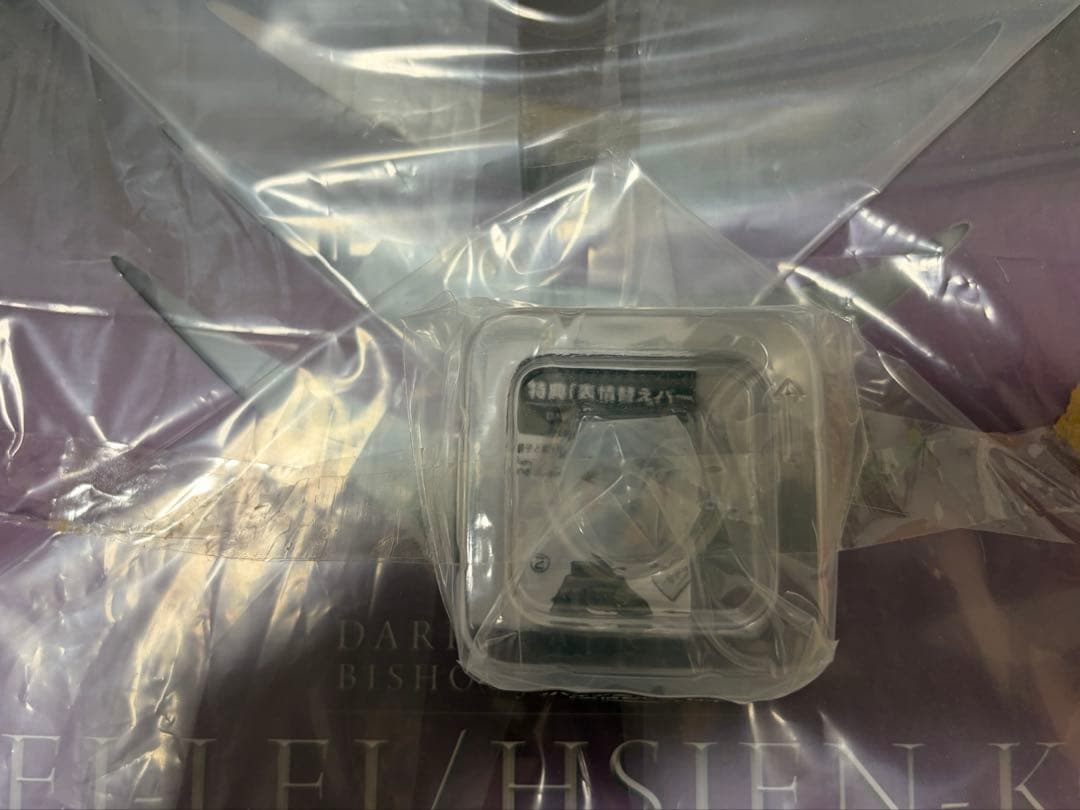 コトブキヤ　美少女シリーズ　ヴァンパイア　レイレイ　特典付き