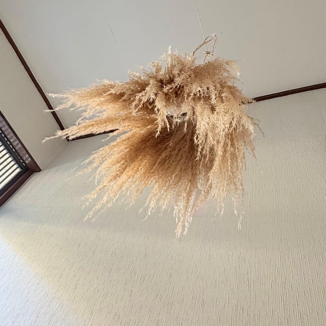 パンパスグラス フライングリース 35～40cm ＊ ピンクフェザー リース