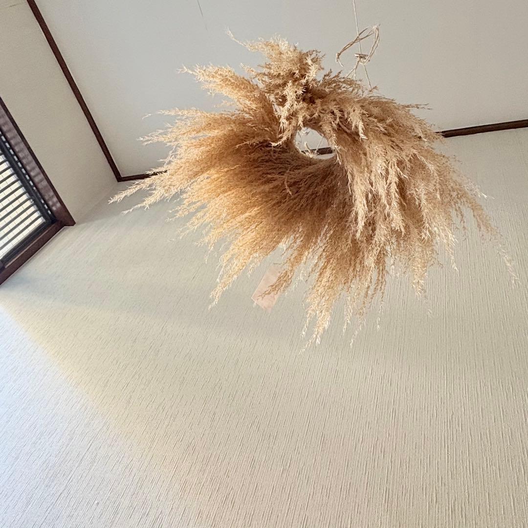 パンパスグラス フライングリース 35～40cm ＊ ピンクフェザー リース