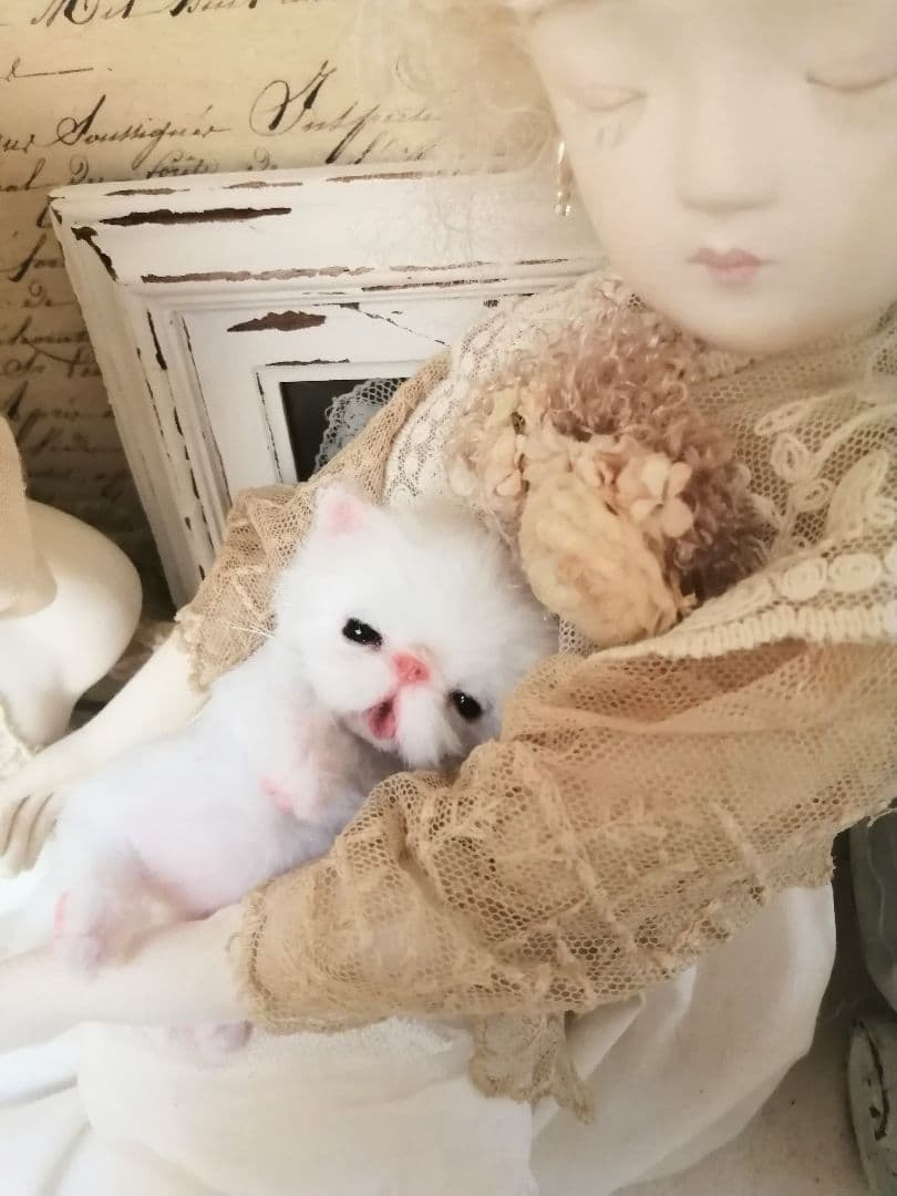 むぎゅサイズ♡ちびちび子猫ちゃん♡アートドール♡ぬいぐるみ♡