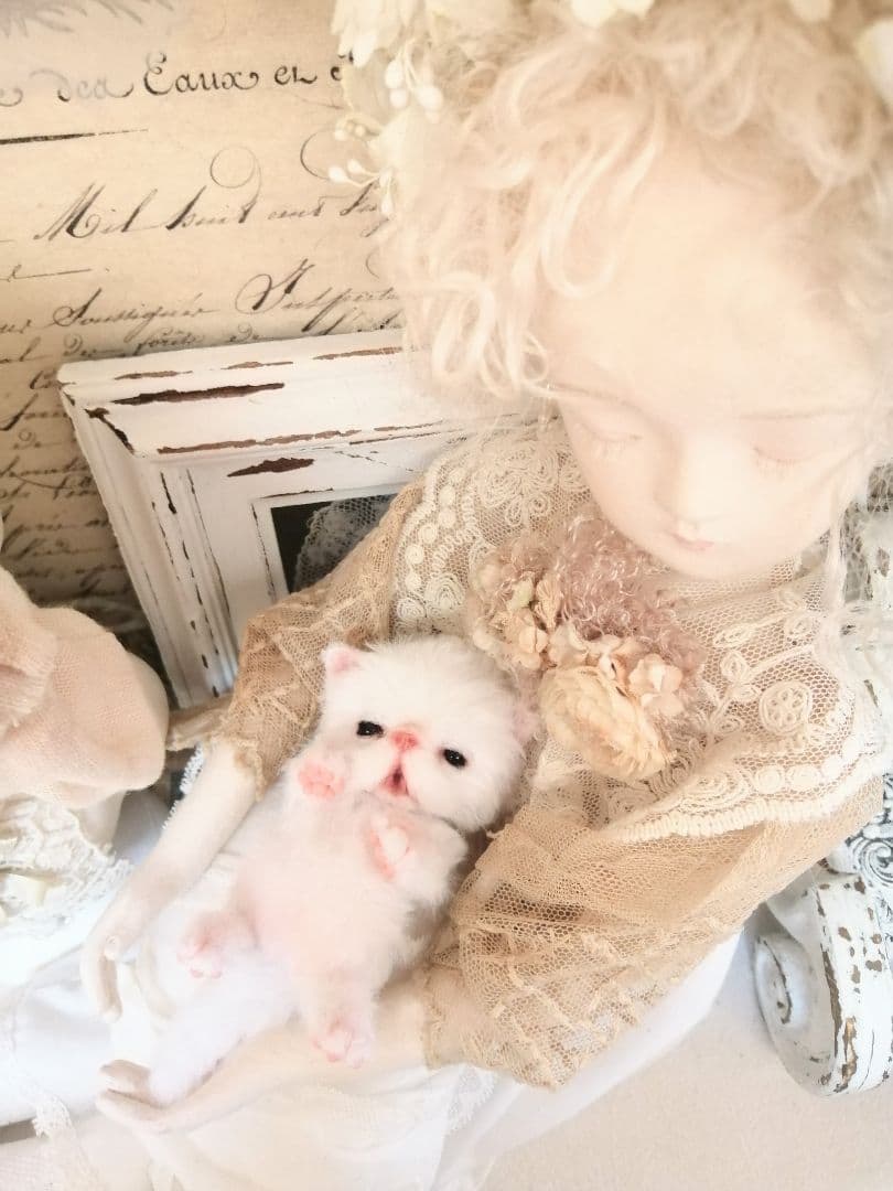 むぎゅサイズ♡ちびちび子猫ちゃん♡アートドール♡ぬいぐるみ♡