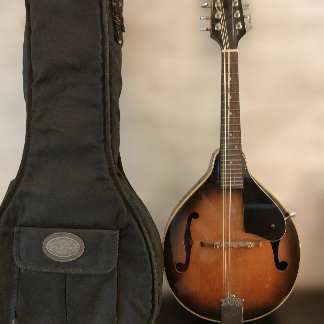 Kentucky KM-140 フラットマンドリン　ケース付き