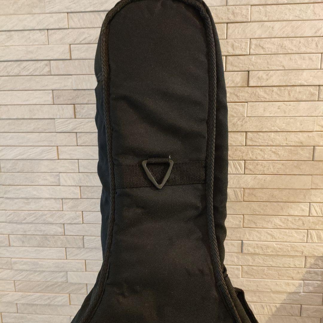 Kentucky KM-140 フラットマンドリン　ケース付き