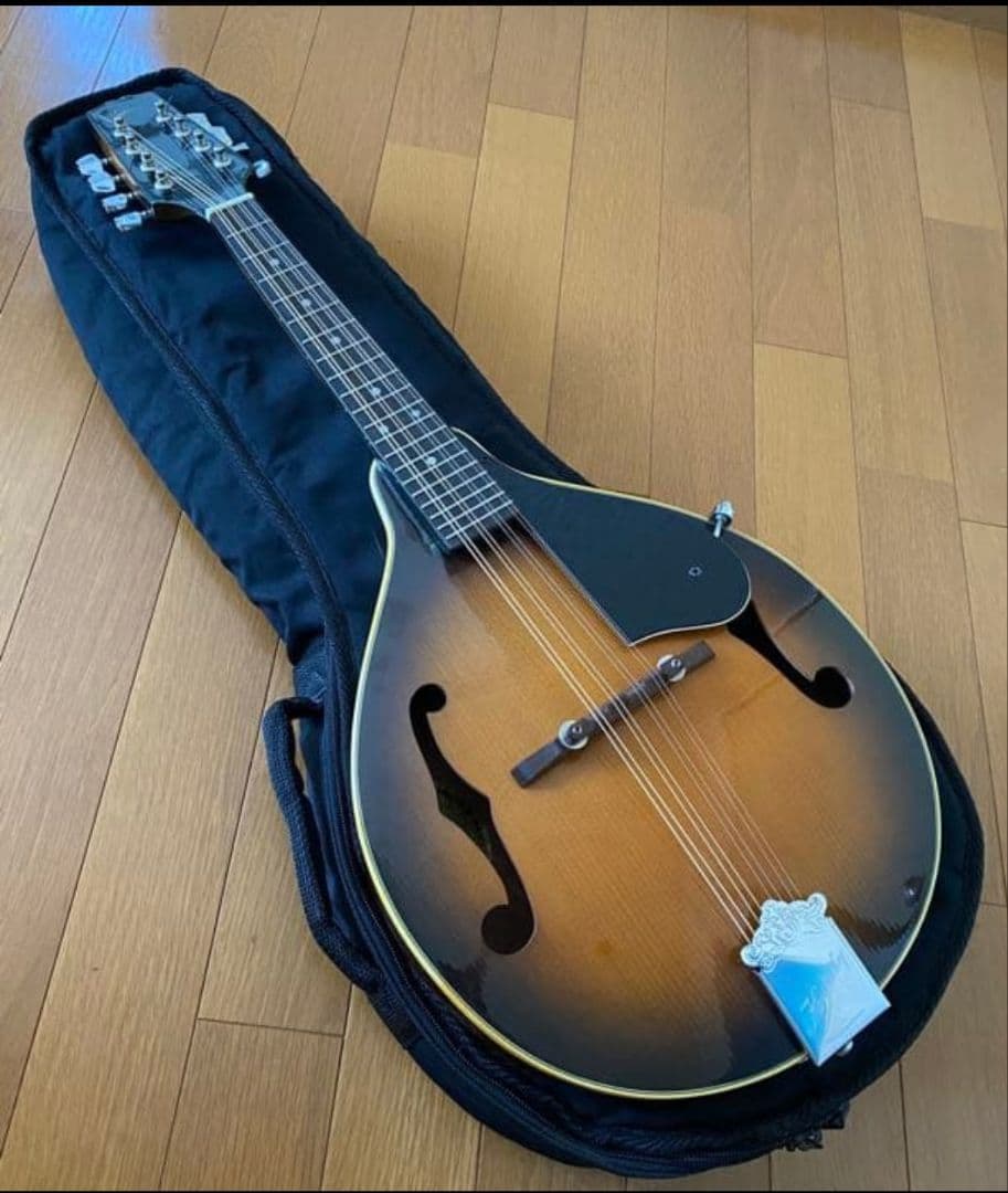 Kentucky KM-140 フラットマンドリン　ケース付き