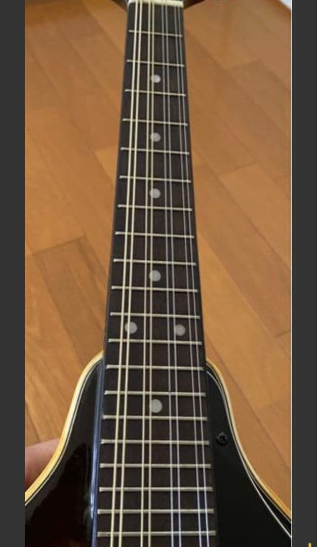 Kentucky KM-140 フラットマンドリン　ケース付き