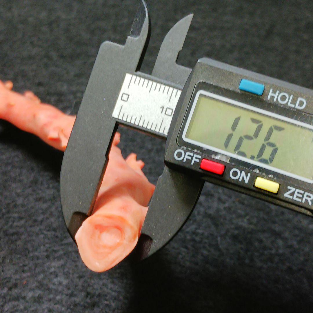 Y2678-4 国産桃色珊瑚原木 珊瑚 総重量32.5g 太軸