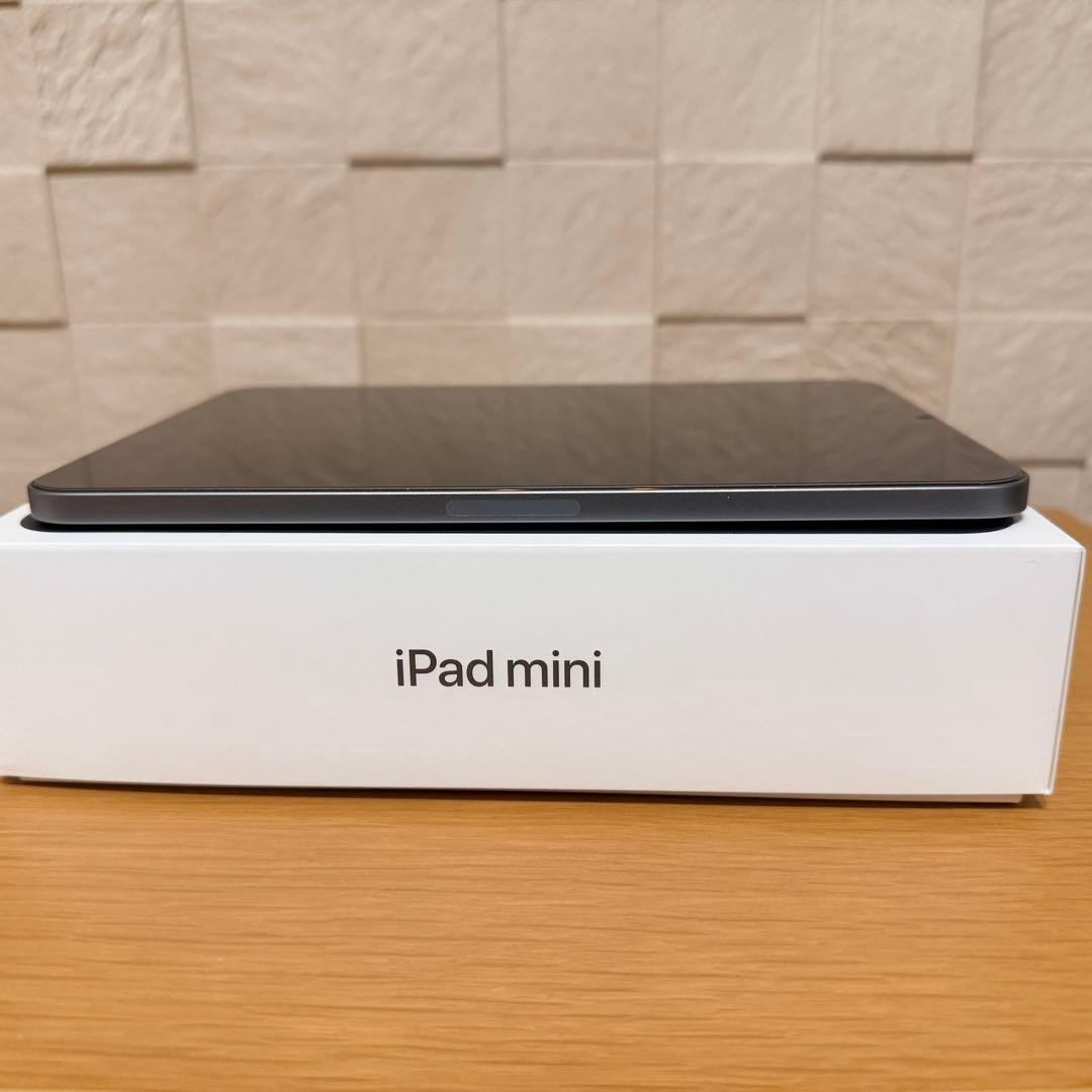 Apple iPad mini (第7世代/A17) スペースグレイ 128GB