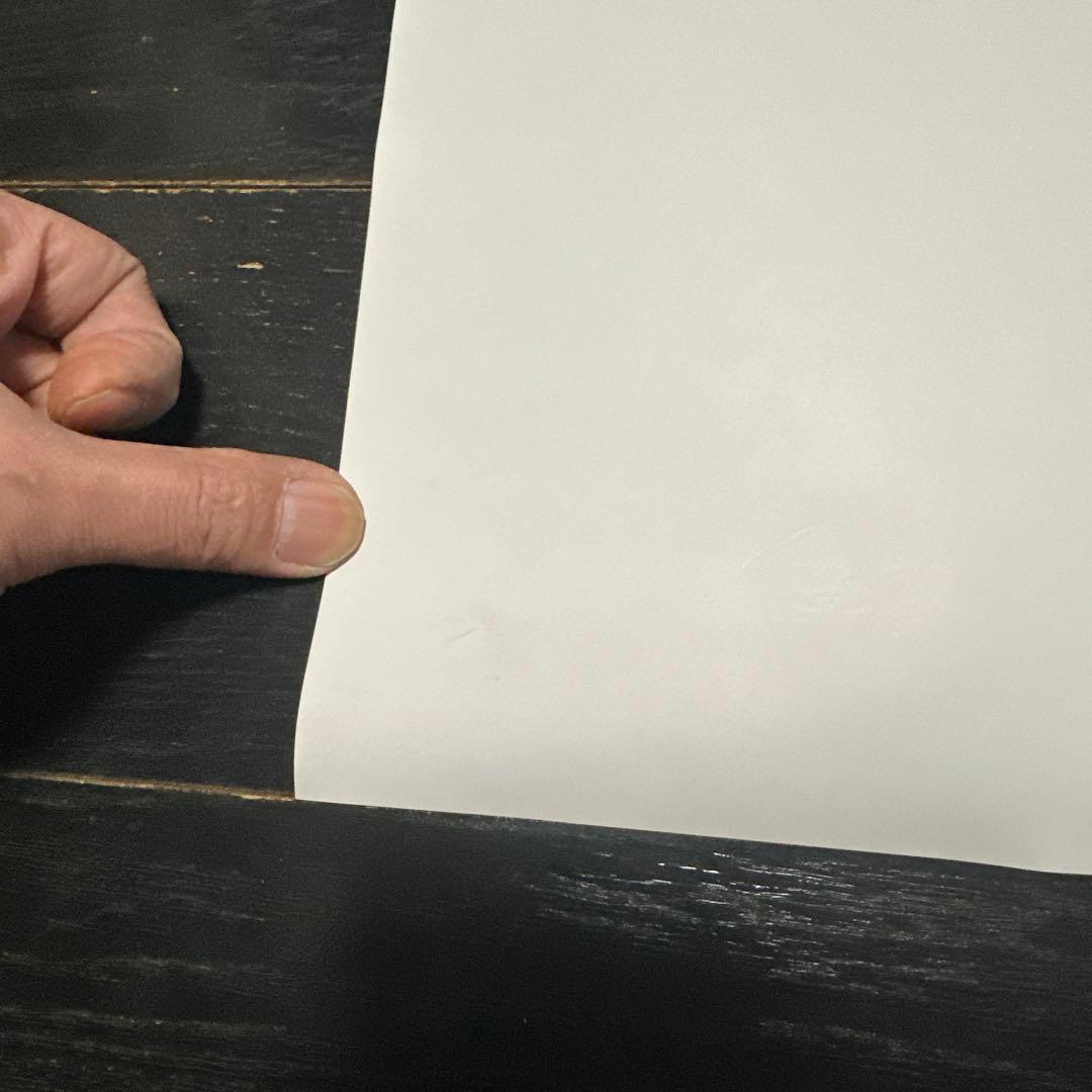 新品　未使用　猿岩石　白い雲のように　ポスター　電波少年　有吉弘行