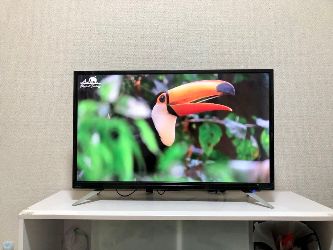 DOL32H100 32型液晶テレビ amazon stick 付き