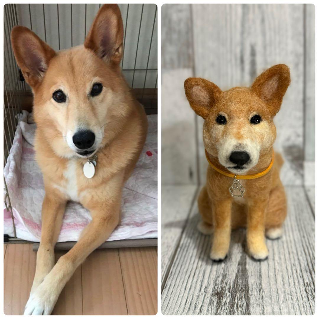 うちの子オーダー　手のひらペット　羊毛フェルト　うちの子　ぬいぐるみ　ペット