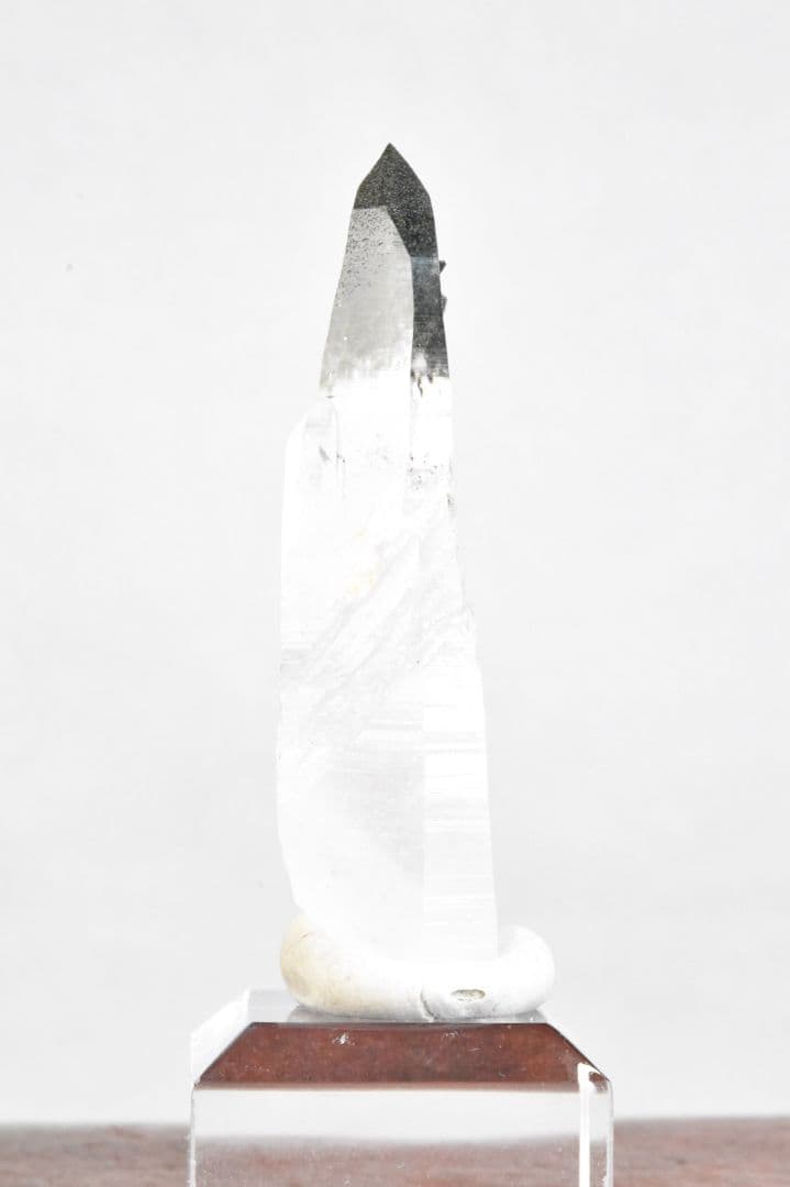 ガネーシュヒマール ラパ産 グリーントップ成長干渉ポイント