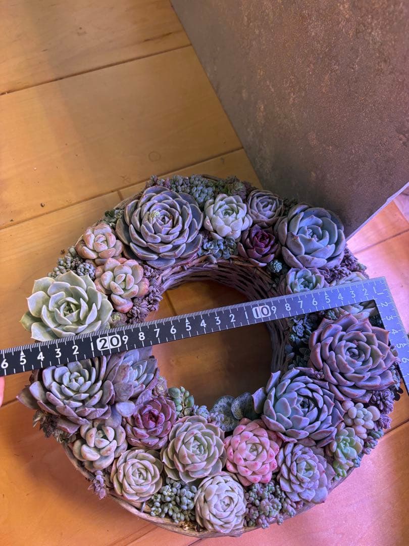 多肉植物寄せ植え　そのまま飾れる　リース 直径約24cm