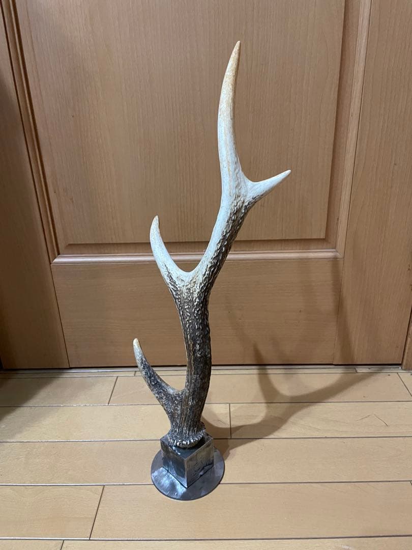 アクセサリー掛け オブジェ 鹿の角